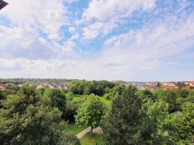 Apartment mieten in Petriviertel, Freiberg