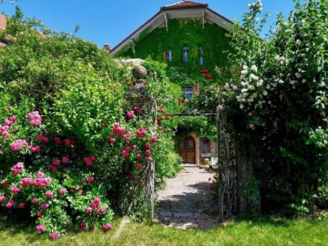 Einfamilienhaus kaufen in Estavayer-le-Lac, Freiburg