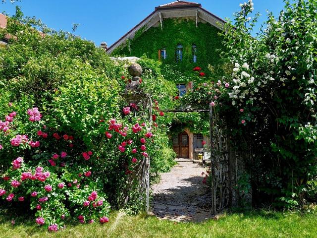 Haus kaufen in Estavayer-le-Lac, Freiburg