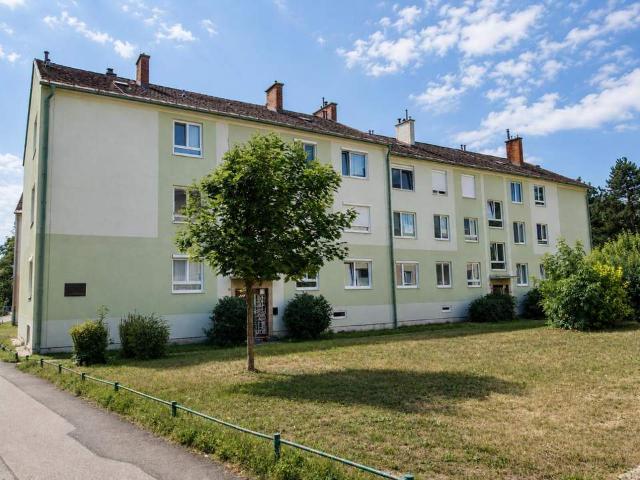 Wohnung kaufen in Baden, Niederösterreich