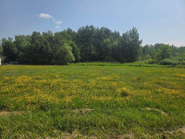 Land for sale in Herbster, Wisconsin