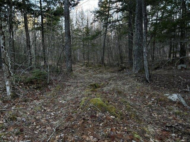 Land for sale in Washington, Maine