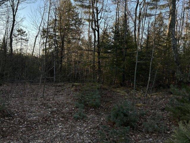 Land for sale in Washington, Maine