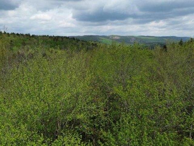 Land for sale in New Hampshire
