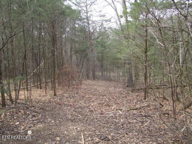 Land for sale in Tennessee