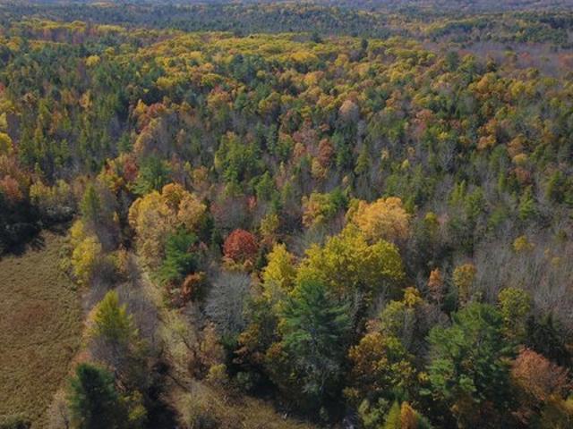 Land for sale in Waldoboro, Lincoln County
