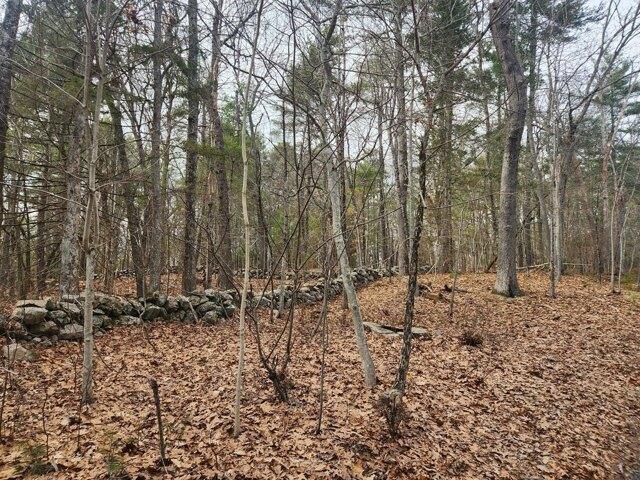 Land for sale in Sherborn, Massachusetts