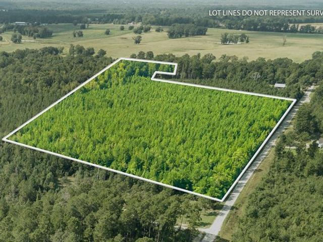 Land for sale in Bassfield, Jefferson Davis County