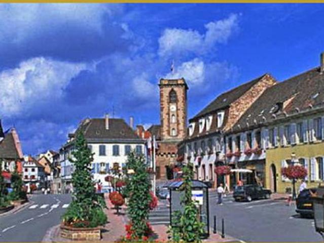 Terrain vente à Molsheim, Wasselonne