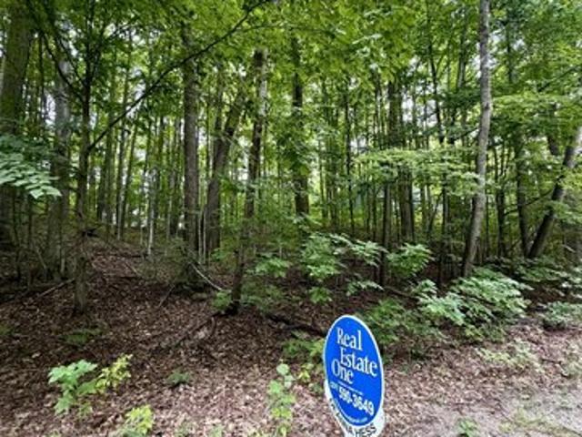 Land for sale in Bellaire, Michigan