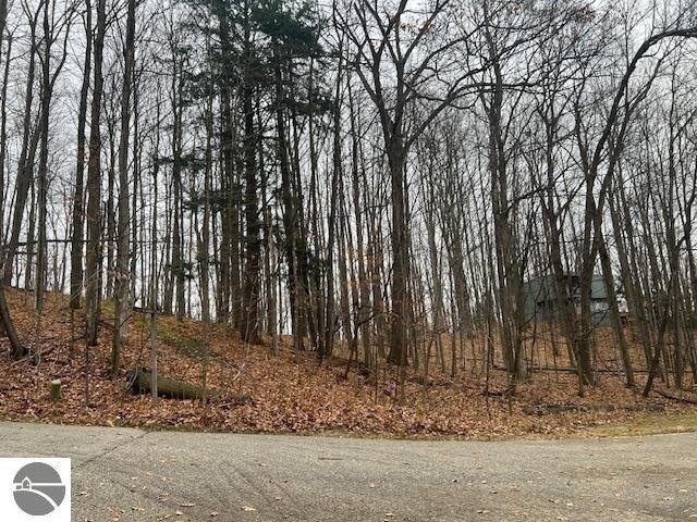 Land for sale in Bellaire, Michigan