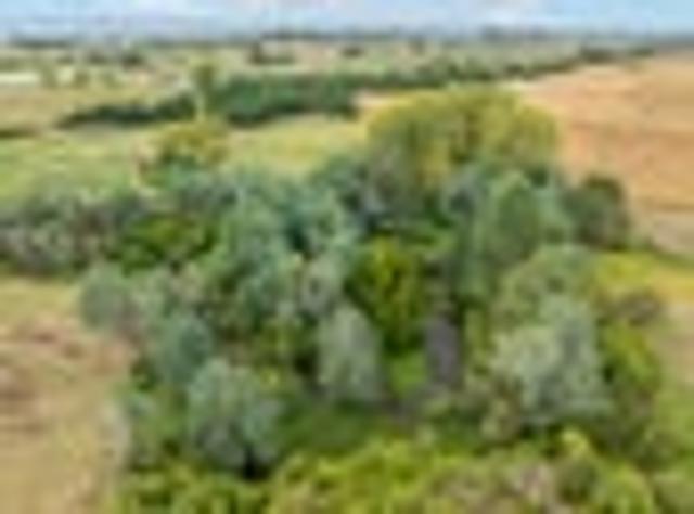 Land for sale in Waikato