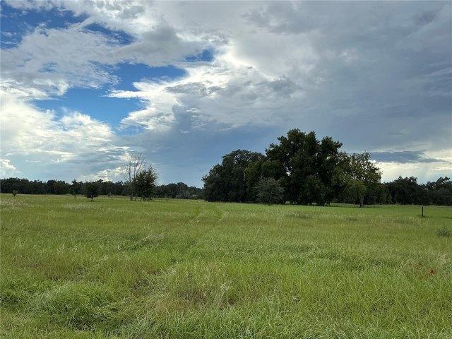 Land for sale in Groveland, Florida