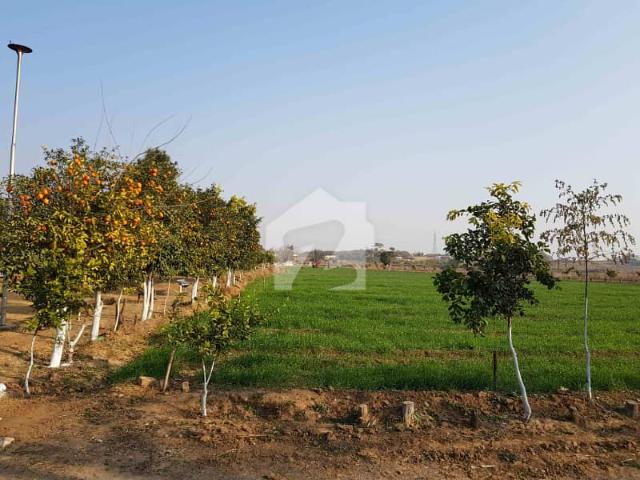 Property for sale in Fateh Jang, Islamabad Capital Territory