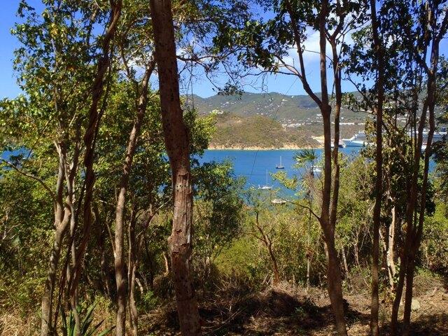 Land for sale in Saint Thomas, Missouri
