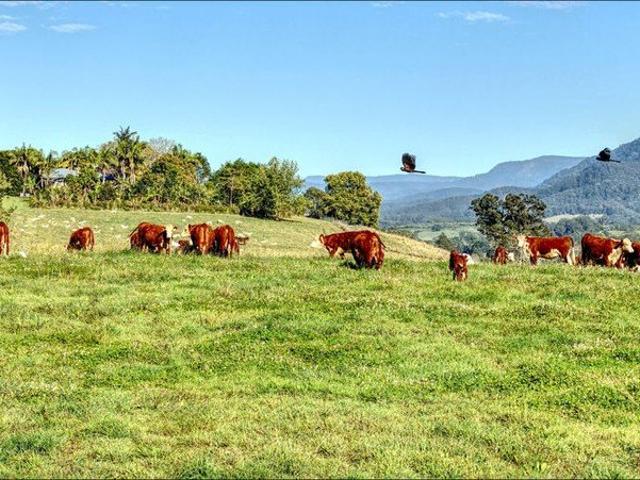 Cottage for sale in Bellingen, Bellingen Shire Council