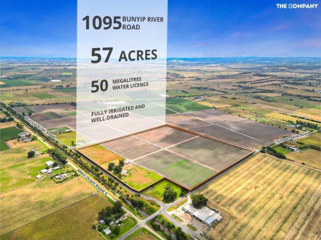 Land for sale in Camerons Creek, Victoria