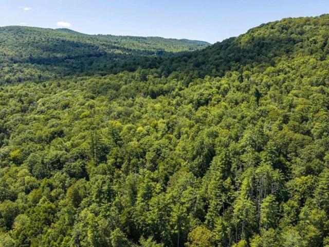 Land for sale in Jamaica, Vermont