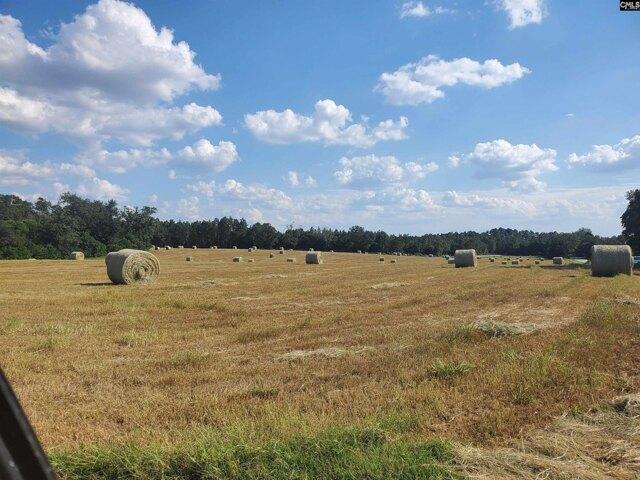 Land for sale in Pelion, South Carolina