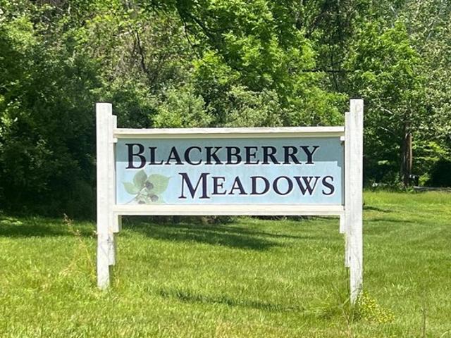 Land for sale in Paw Paw, West Virginia