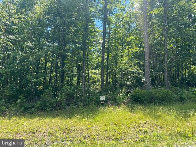 Land for sale in Paw Paw, West Virginia