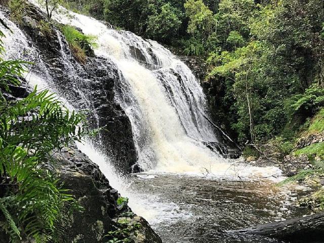 Cottage for sale in Tablelands, Queensland