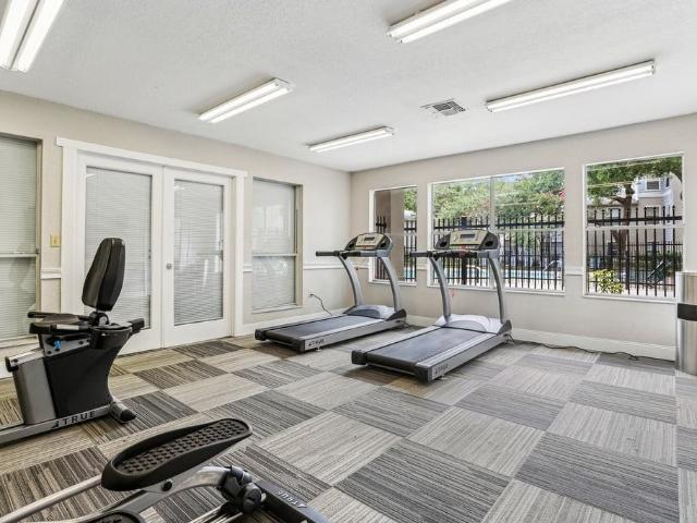 Apartment for rent in Tampa, Florida