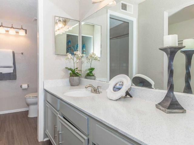 Apartment for rent in Spring Branch, Houston