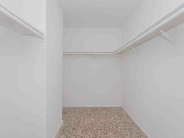 Apartment for rent in Spring Branch, Houston