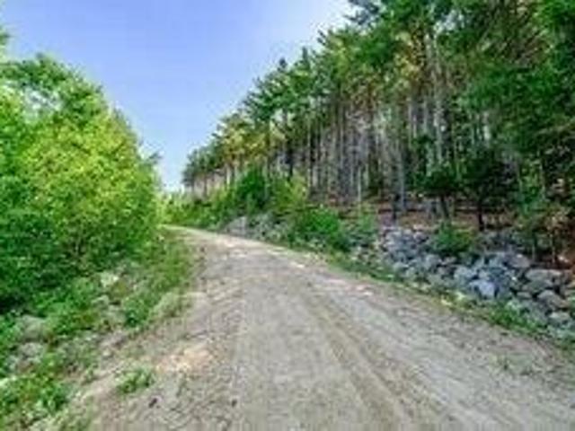 Land for sale in Waterford, Maine