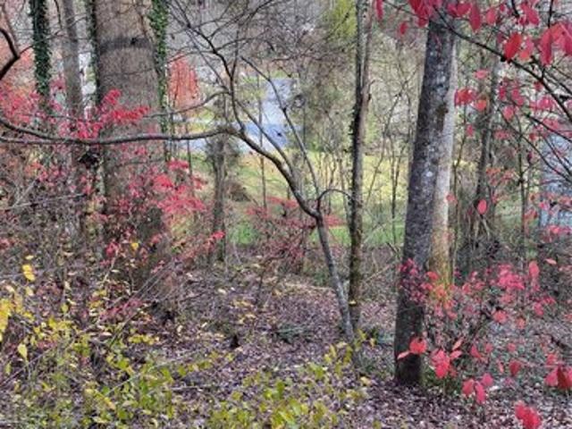 Land for sale in Transylvania, North Carolina