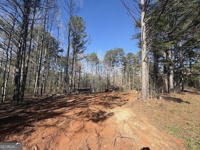 Land for sale in Haralson, Georgia