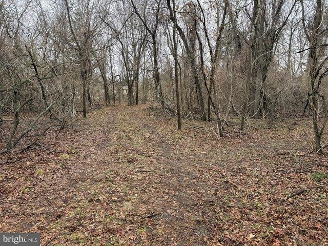 Land for sale in Hammonton, New Jersey