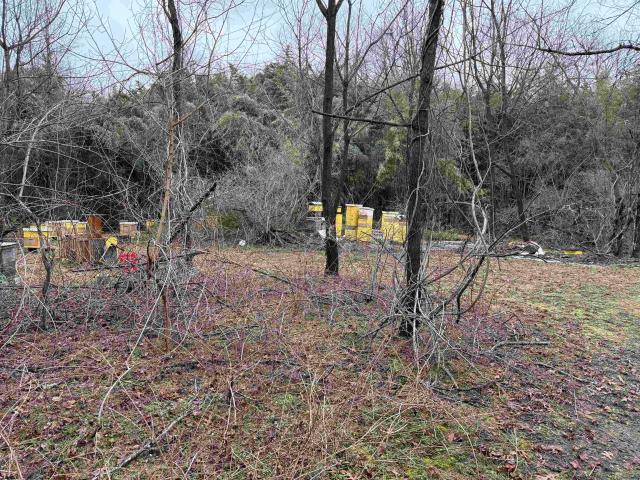 Land for sale in Waterford Works, New Jersey
