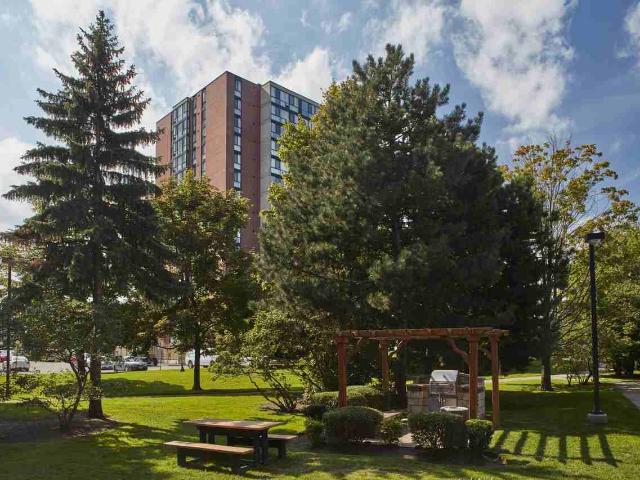 Apartment for rent in Mississauga, Ontario