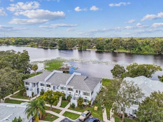 Room for rent in Temple Terrace, Florida