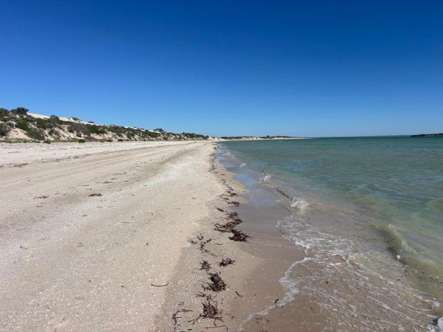 Land for sale in Perlubie, South Australia