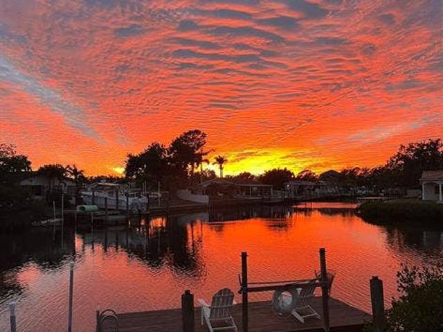 Room for rent in Saint Petersburg, Florida