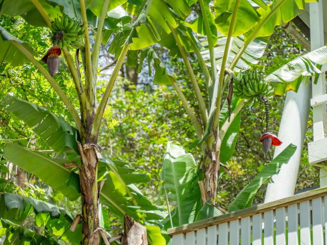 House for sale in Mooney Mooney Creek, Gosford