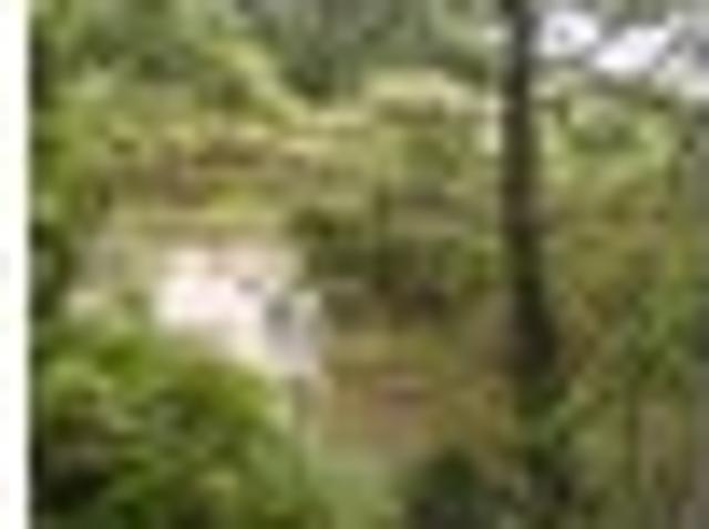 Land for sale in Whangarei, Northland