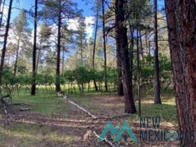 Land for sale in Chama, New Mexico