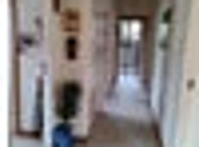 House for rent in Days Bay, Wellington