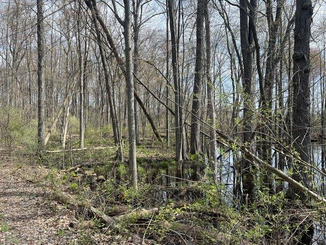 Land for sale in Grass Lake, Michigan