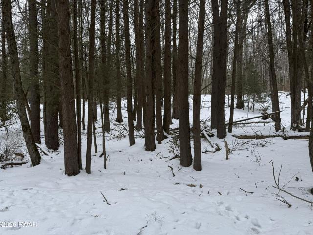 Land for sale in Greentown, Pennsylvania