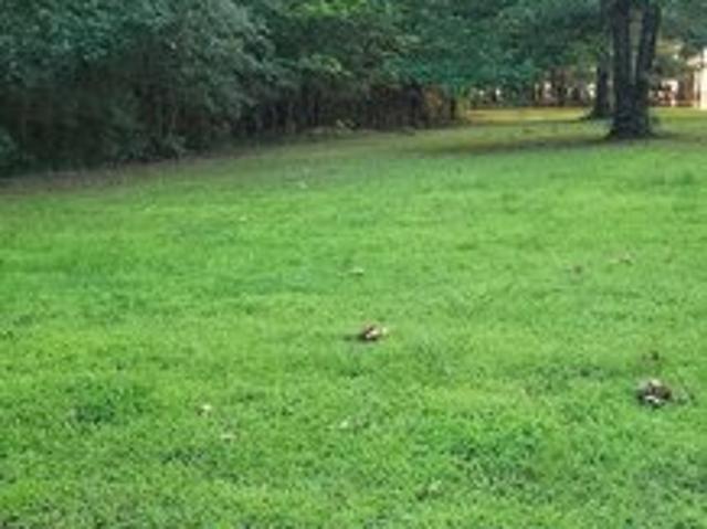 Land for sale in Ark