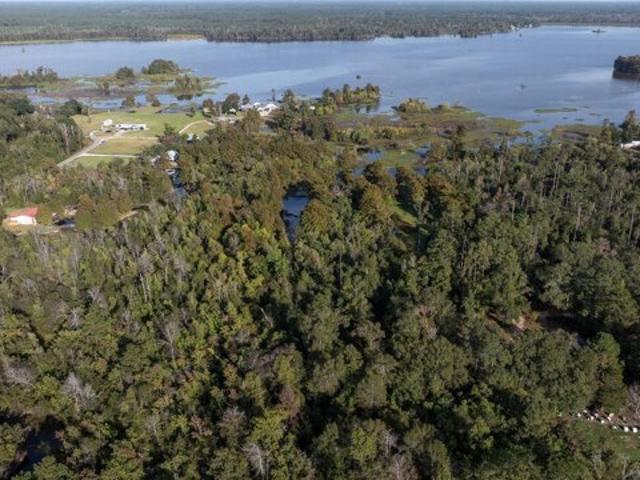 Land for sale in Deridder, Louisiana
