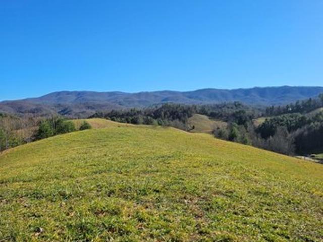 Land for sale in Laurel Bloomery, East Tennessee