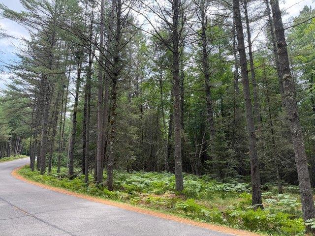 Land for sale in Vilas, Wisconsin