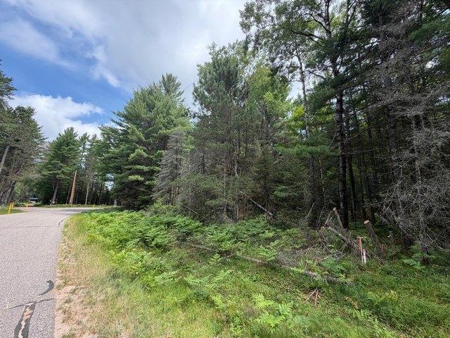 Land for sale in Vilas, Wisconsin