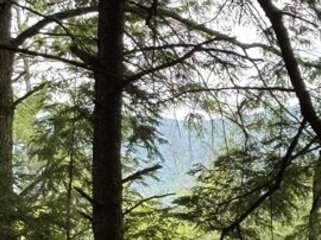 Land for sale in New Hampshire
